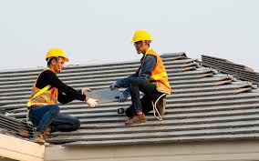 Best Roof Leak Repair  in Nes, IL